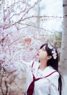 齐天大性女儿国_BD韩语高清完整版播放